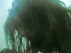 Cô cô tổ ong chăm ch ...