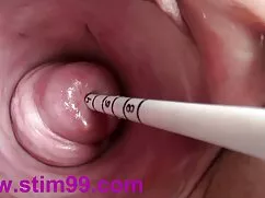 Hoang dã chết phim d ...